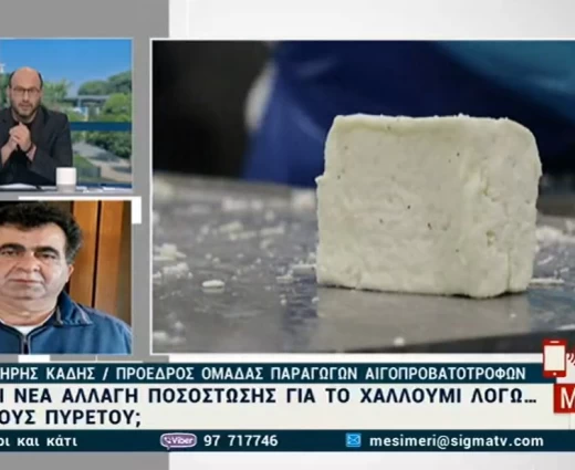 Ανησυχία για την ποσόστωση στο χαλλούμι - Τι λένε οι αιγοπροβατοτρόφοι